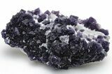 Purple Octahedral Fluorite Crystals on Quartz - China #223317-1